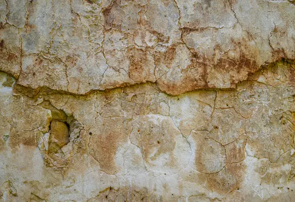 Kadim duvar, doğanın zaman ve mevsimler üzerindeki etkisini gösteren renk ve dokulardan oluşan bir duvar halısı sergiliyor..