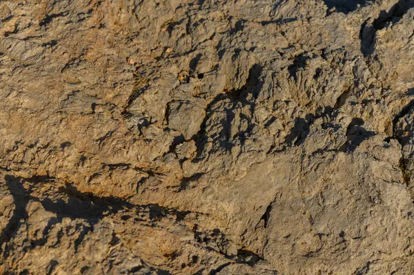 Doğa sanatsal özelliklerini gün ışığındaki kaya oluşumlarında bulunan karmaşık doku ve desenlerle gözler önüne seriyor..