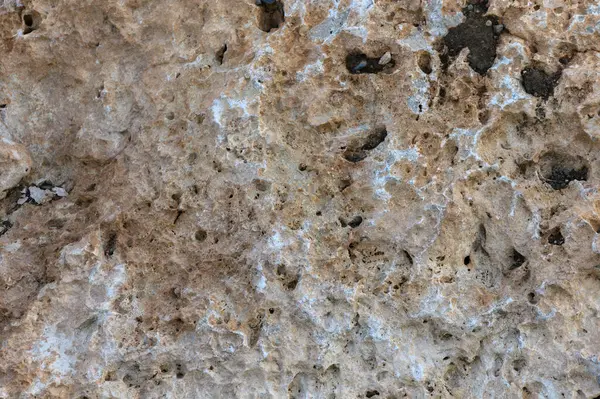 Doğal bir taş yüzeyin büyüleyici detayları. Parlak ışık altında dünyevi renkler ve büyüleyici dokular sergiliyor..