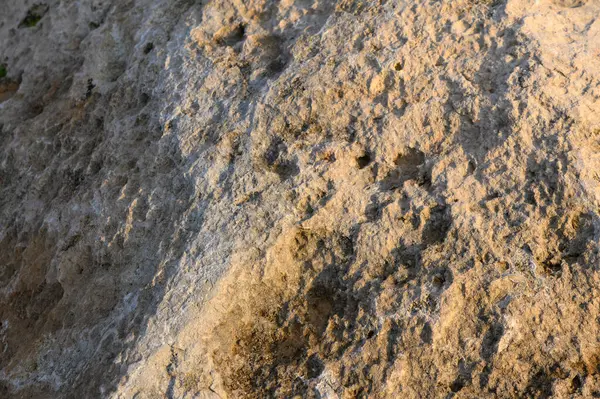 Güneş ışığı kayalık arazide sıcak bir parıltı yayar ve alacakaranlıkta yüzeydeki eşsiz doku ve desenleri ortaya çıkarır..