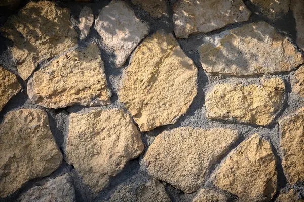 Güneş ışığı ağaçların arasından süzülüyor, kırsal bir taş duvarın dokulu yüzeyini aydınlatıyor, doğal güzelliği arttırıyor..