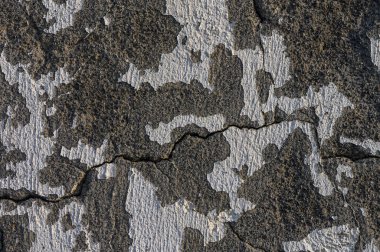 Eskimiş beton yüzeydeki desenli çatlaklar ve benzersiz desenler çürümenin ve aşınmanın güzelliğini gözler önüne seriyor..