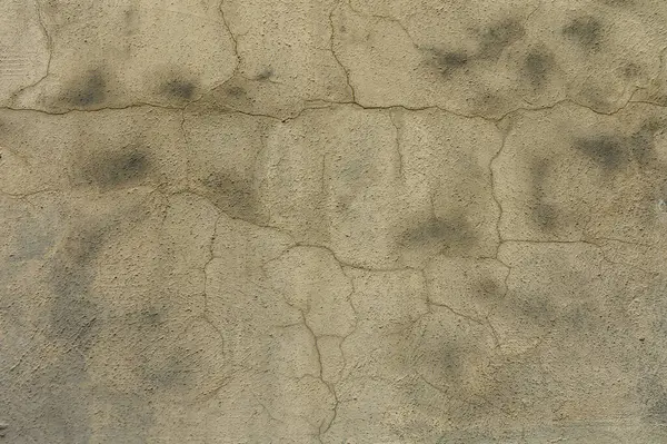 Çatlaklar ve lekeler yıpranmış bir duvarı süslüyor, kentsel hayat ve doğanın zaman içindeki etkileri hakkında hikayeler anlatıyor..