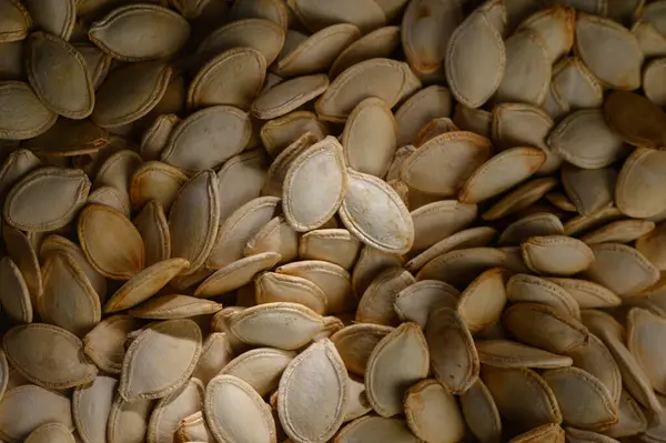 Bir sürü balkabağı çekirdeği etrafa saçılmış, yumuşak, altın ışığı yakalıyor..