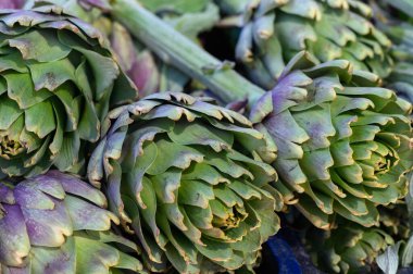 Canlı yeşil enginarlar, yeni hasat edilmiş, hareketli bir çiftçi pazarında sergileniyor. Sabahın erken saatlerinde güneş, karmaşık tabakalarını aydınlatır. Müşterileri keşfetmeye davet eder..