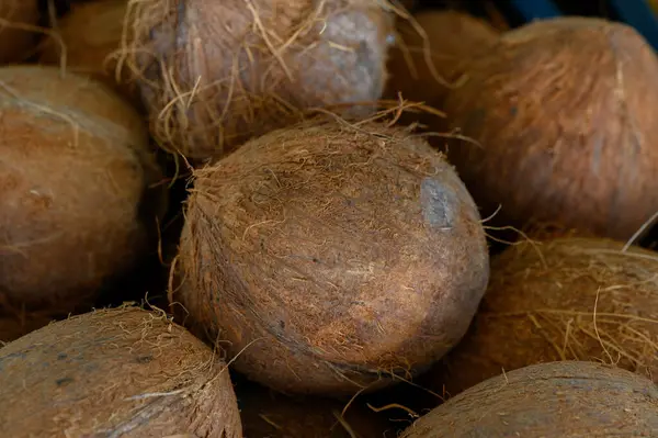 Bir grup doğal hindistan cevizi sıcak ve davetkar bir ortamda bir araya toplanarak sert ve dokulu dış görünüşlerini ortaya koyuyor. Işığın etkileşimi onların dünyevi tonlarını ve organik hislerini arttırır..
