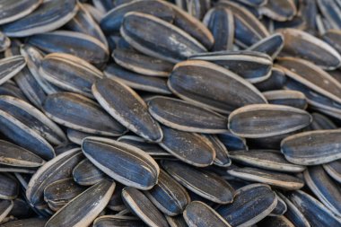 Taze hasat edilmiş ayçekirdeğinin canlı bir görüntüsü pazarı dolduruyor, sıcak güneş ışığı altında zengin dokularını ve renklerini sergiliyor, meraklı müşterileri cezbediyor..