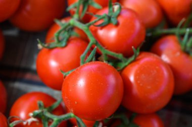 Parlak ve canlı kırmızı domatesler bir araya toplanmış, sulu yüzeyleri güneş ışığında parıldıyor. Tam kıvamında, bu meyveler canlı bir çiftçi pazarında müşterileri cezbediyor..