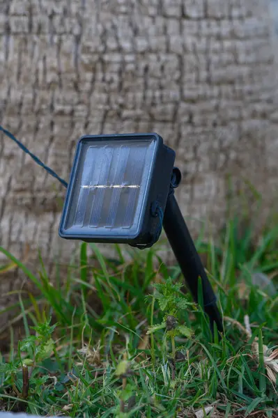 Güneş enerjisiyle çalışan parlak bir ışık, dokulu bir ağaç gövdesinin yakınındaki yemyeşil çimlerin üzerinde duruyor ve alacakaranlığın altın saatlerinde çevreyi sıcak bir ışıltıyla aydınlatıyor..