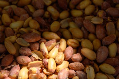 Çeşitli renklerde zengin bir çiğ fıstık koleksiyonu yumuşak güneş ışığı altında doğal dokularını ve kusurlarını gözler önüne seriyor. Bu botanik cennetinde huzur hüküm sürüyor..