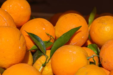 Parlak kabuklu sulu portakallar bereketli, yemyeşil yapraklarla bezenmiş, hareketli bir çiftçi pazarında güneşli bir günün özünü yakalıyorlar..