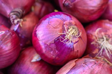 Canlı bir pazarda parlak kırmızı soğanlar üst üste yığılır, pürüzsüz derileri köklerinin pürüzsüz dokusuyla çelişir. Müşteriler yerel cömertliği keşfedip, neşeli bir atmosfer yaratıyorlar..