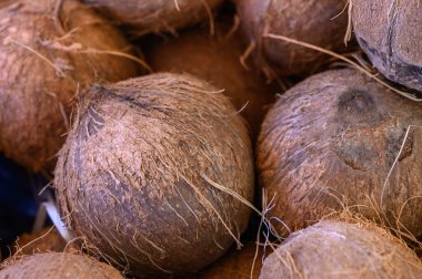 Yeni toplanmış bir hindistan cevizi kümesi, kabuklarını ve lifli kabuklarını sergileyerek bir pazarda uzanıyor. Güneş ışığı onların dünyevi tonlarını aydınlatır, tropikal deneyimleri davet eder..