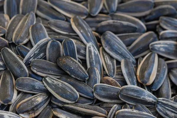 Yakından bakınca, her birinin eşsiz gölgeleri ve desenleri olan yüzlerce ayçekirdeği ortaya çıkıyor ve kırsal bir ortamda doğanın sunduğu güzellikleri vurguluyor..