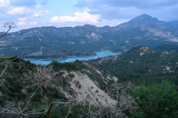 Geniş dağlar, yemyeşil yemyeşil ve kuru bitkilerle çevrili sakin bir göl üzerinde görkemli bir şekilde yükselir. Hepsi öğleden sonra gökyüzünün yumuşak ışıklarıyla yıkanır..