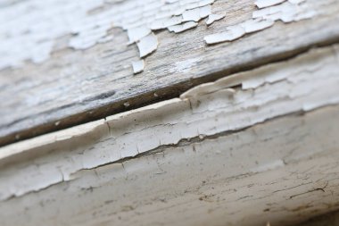 Yıpranmış ahşap kaplamaların, boyaların ve çatlakların yakın plan görüntüsü, zamanın ve doğanın amansız yıpranma hikayelerini anlatıyor. Dokular tarih duygusunu çağrıştırıyor..