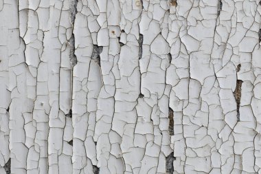 Solgun beyaz boya tabakaları soyuluyor, ihmal edilmiş bir bölgedeki kaba ve yaşlı bir duvarı ortaya çıkarıyor. Her çatlak zamanın, havanın ve unutulmuş güzelliğin hikayesini anlatır..