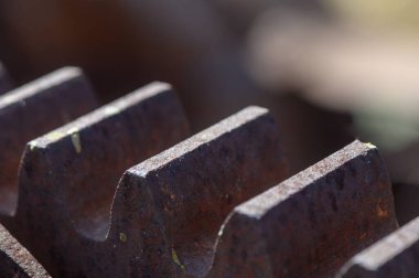 Paslı metal dişler, endüstriyel makinelerin karmaşık tasarımını sergileyerek öğleden sonra ışığını yakalıyor. Doğanın esnekliği, zamanın geçişini işaret eden yeşil yosun parçalarıyla ortaya çıkar..