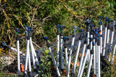 Fıskiyeler zeminde canlı yeşillikler arasında düzenlenir. Baharın ılık ışınları altında bitkileri beslemeye hazırdırlar. Bahçe işleri ve doğanın güzelliğini gözler önüne seriyor..