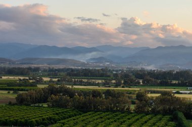 Güneşin uzak dağların ardında battığı, huzurlu kırsal bölgede sıcak bir parıltı saçan, pastel bir gökyüzünün altındaki yemyeşil tarlaların sükunetini nefes kesici bir manzara yakalıyor..