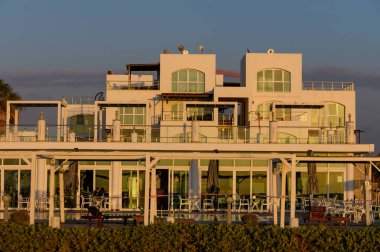 Bir grup arkadaş büyük bir ağacın altında piknik battaniyesinde toplanır, yemek ve kahkaha paylaşırlar..