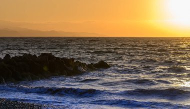 Şehirde güneşli bir öğleden sonra, taze meyve, sebze ve el yapımı ürünleri keşfeden müşterilerle dolu canlı bir açık hava pazarı..