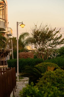 Dostlar canlı bir parkta toplanır, çiçeklerle çevrili güneşi emerler. Kahkahalar ve sohbetler çimlerin üzerinde dinlenirken havayı doldurur..