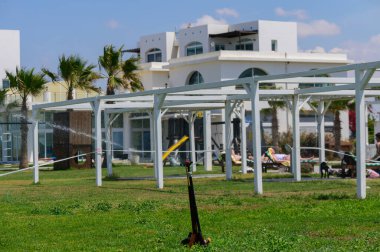 Kıbrıs 'ta Parlak Güneş Altında Çim Suyu Tazeleniyor