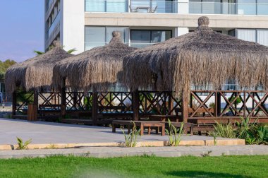 Kıbrıs sahilinin yakınında turkuaz yüzme havuzu olan şık bungalovlar. Palmiye ağaçları ve deniz meltemiyle mükemmel bir yaz kaçışı..