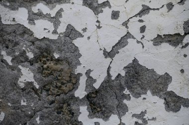 Eski, yıpranmış, pürüzlü, çatallı beton bir duvara yakın çekim. Grunge arkaplan, doku örtüsü veya kentsel tasarım ögesi olarak ideal.