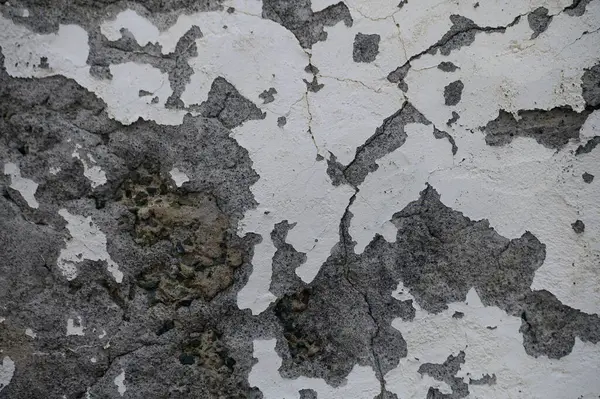 Eski, yıpranmış, pürüzlü, çatallı beton bir duvara yakın çekim. Grunge arkaplan, doku örtüsü veya kentsel tasarım ögesi olarak ideal.