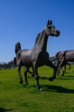 Kıbrıs Rum Kesimi Kampüs Bahçesinde Bronz At Sanatı