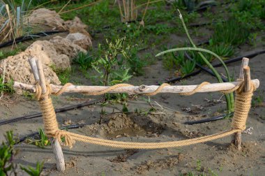 Kıbrıs Bahçesinde Ağaç ve İp Dekoratif Çit