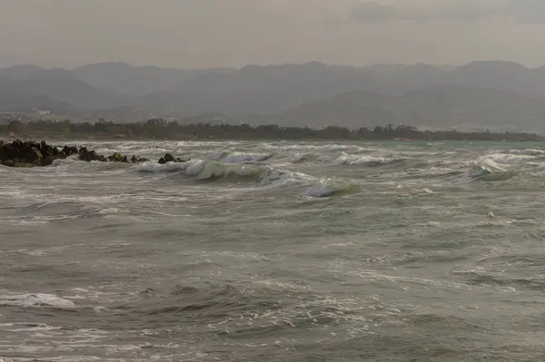 Dalgalar Kıbrıs 'taki kumlu bir plaja hafifçe çarpıyor. Akdeniz sahnesi berrak mavi su, doğal hareket ve yaz tatili atmosferi.