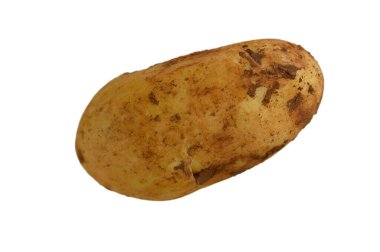 Toprakla kaplı kırsal bir patates organik tarım uygulamalarını vurgularken doğal formunu ortaya koyar..