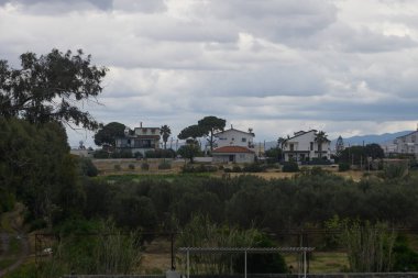 Bereketli zeytinlikler huzurlu bir kırsal alanda, sakin bir ortamda, tuhaf bir gökyüzü manzaranın üzerine hafif bir ışık tutuyor, huzurlu bir kaçış için mükemmel..