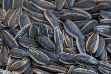 Yakından bakınca, her birinin eşsiz gölgeleri ve desenleri olan yüzlerce ayçekirdeği ortaya çıkıyor ve kırsal bir ortamda doğanın sunduğu güzellikleri vurguluyor..