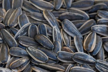 Yakından bakınca, her birinin eşsiz gölgeleri ve desenleri olan yüzlerce ayçekirdeği ortaya çıkıyor ve kırsal bir ortamda doğanın sunduğu güzellikleri vurguluyor..