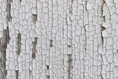 Yakından bakınca yıpranmış ahşap üzerindeki beyaz boyanın büyüleyici detaylarını ortaya koyuyor. Yumuşak gün ışığı altındaki çatlaklardan ve katmanlardan geçen zamanı vurguluyor..