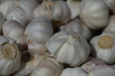 Yeni sarımsak karanfillerinin canlı dokusunu, yumuşak akşam ışığı altında parıldayan beyaz ve mor derilerini, hareketli bir pazar yerinde yakalıyor..