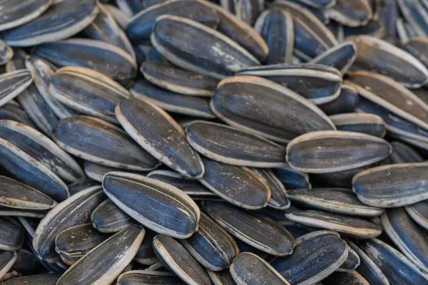 Taze hasat edilmiş ayçekirdeğinin canlı bir görüntüsü pazarı dolduruyor, sıcak güneş ışığı altında zengin dokularını ve renklerini sergiliyor, meraklı müşterileri cezbediyor..