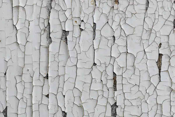 Solgun beyaz boya tabakaları soyuluyor, ihmal edilmiş bir bölgedeki kaba ve yaşlı bir duvarı ortaya çıkarıyor. Her çatlak zamanın, havanın ve unutulmuş güzelliğin hikayesini anlatır..