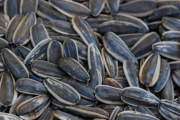 Yakından bakınca, her birinin eşsiz gölgeleri ve desenleri olan yüzlerce ayçekirdeği ortaya çıkıyor ve kırsal bir ortamda doğanın sunduğu güzellikleri vurguluyor..