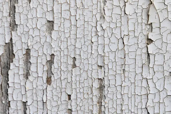 Yakından bakınca yıpranmış ahşap üzerindeki beyaz boyanın büyüleyici detaylarını ortaya koyuyor. Yumuşak gün ışığı altındaki çatlaklardan ve katmanlardan geçen zamanı vurguluyor..