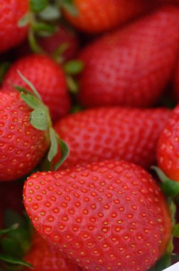 Işıl ışıl yüzeyi olan parlak kırmızı çilekler bir araya toplanmış ve sulu cazibelerini sergiliyorlar..