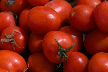 Taze, olgun domatesler çerçeveyi dolduruyor, parlak derileri güneş ışığını yansıtıyor. Bu renkli çeşitlilik yaz mevsiminin bereketini vurguluyor. Müşterileri yerel hasatın tadını çıkarmaya çağırıyor..