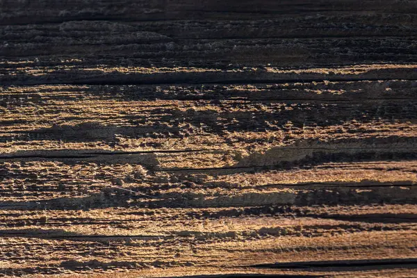 Güneş ışığı kaba ahşap bir yüzey üzerinde dans eder, doğanın karmaşık desenlerini ve dokularını gösterir..