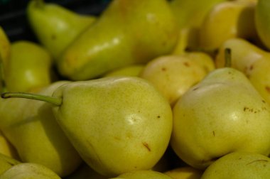 Olgun sarı armut koleksiyonu yerel bir tarım pazarında sergileniyor. Yumuşak ışık altında pürüzsüz derileri ışıldar. Tazelik ve lezzetleriyle müşterileri baştan çıkarır..