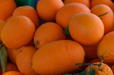 Taze toplanmış renkli portakallar bir araya toplanmış, parlak turuncu renkleri ve dokulu derileri sergileniyor. Yapraklar narenciye cömertliğinin arasına biraz yeşillik katar..