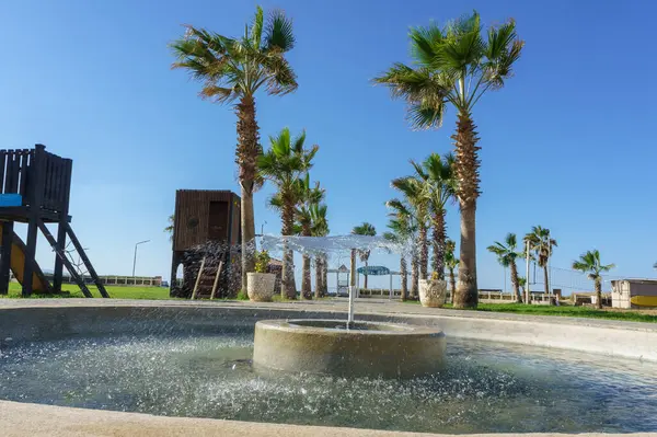 Parkta hayat dolu bir günün tadını çıkarıyorum. Deniz kenarındaki oyun parkında ferahlatıcı bir çeşme ve palmiye ağaçları var..